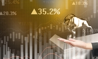金禾实业：美国联邦巡回上诉法院维持美国国际贸易委员会337调查裁决结果